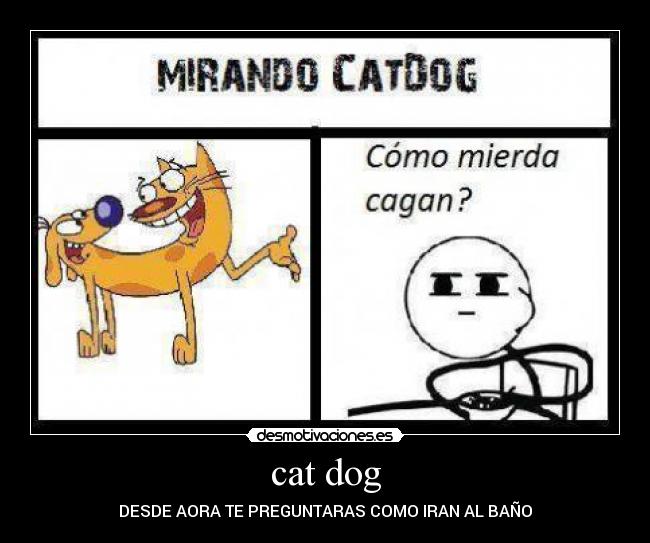 cat dog - DESDE AORA TE PREGUNTARAS COMO IRAN AL BAÑO