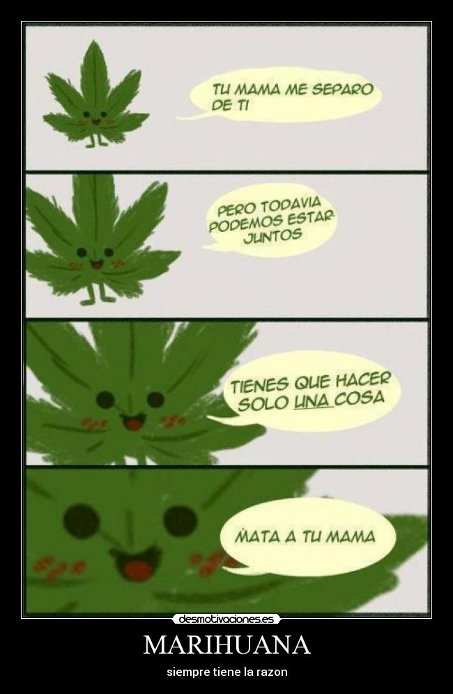 MARIHUANA - siempre tiene la razon