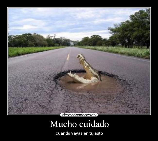 Mucho cuidado - cuando vayas en tu auto
