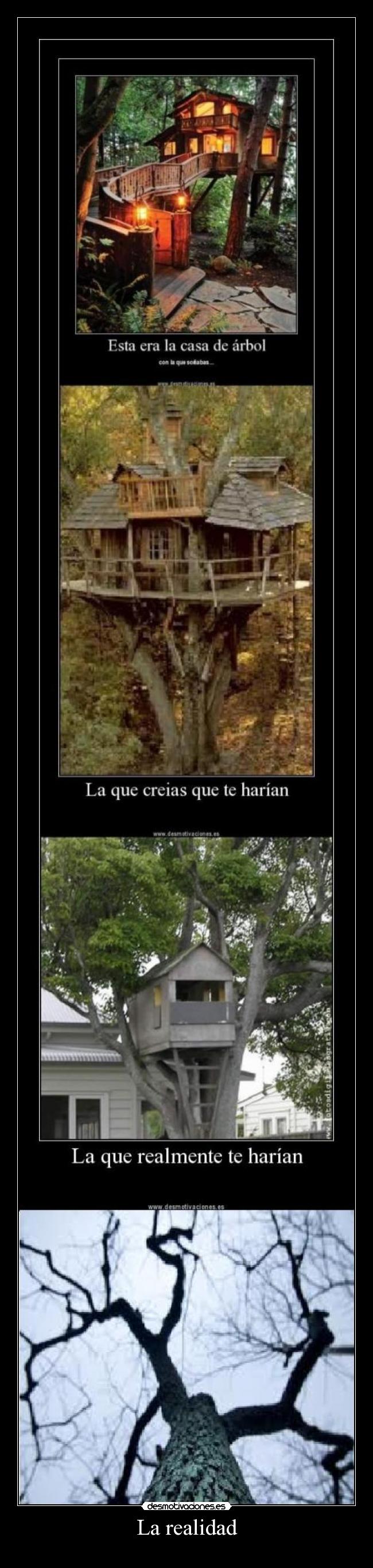 La realidad - 