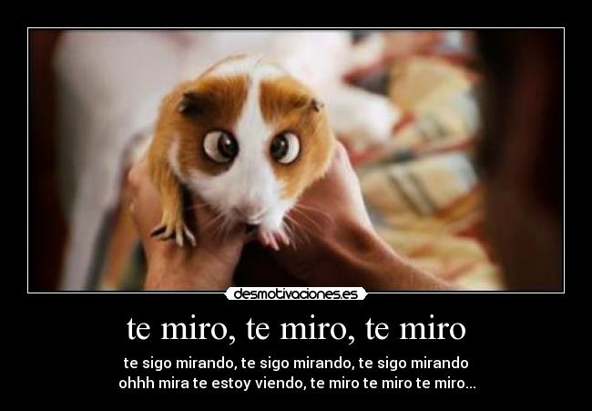 te miro, te miro, te miro - te sigo mirando, te sigo mirando, te sigo mirando
ohhh mira te estoy viendo, te miro te miro te miro...
