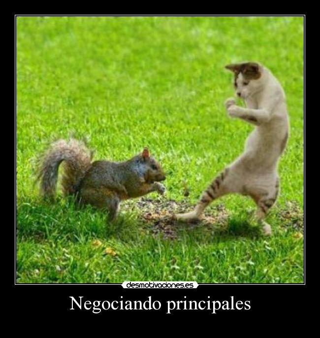 carteles las ardillas molan desmotivaciones