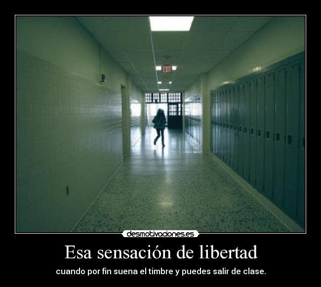 carteles libertad jejejejejejew desmotivaciones