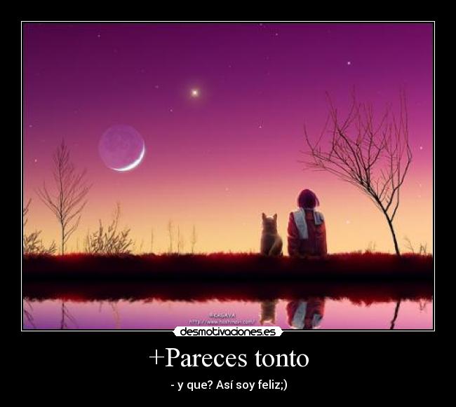 carteles tonto rosana98 desmotivaciones