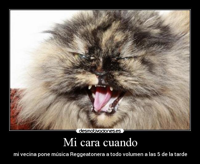 Mi cara cuando - mi vecina pone música Reggeatonera a todo volumen a las 5 de la tarde