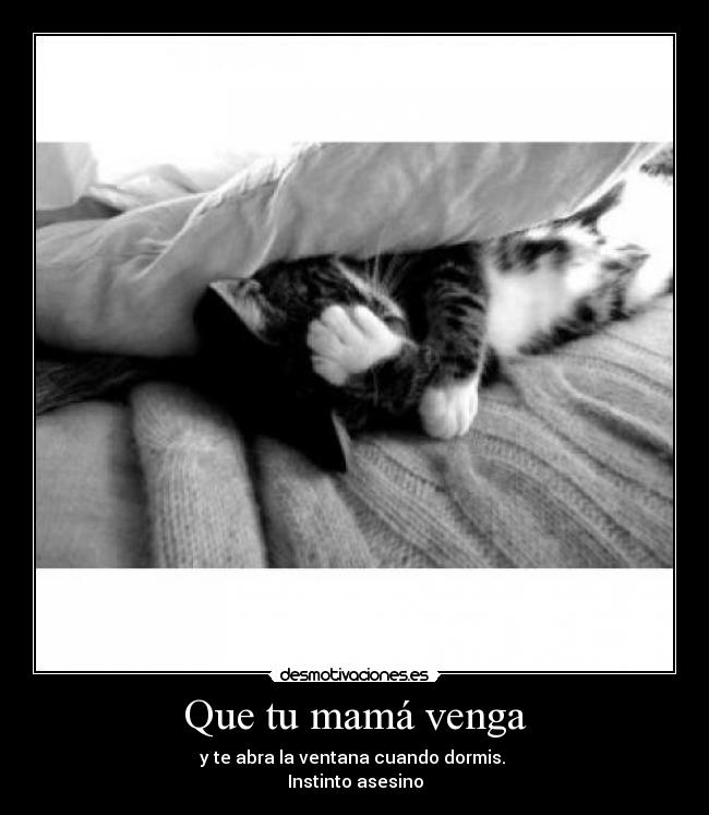 Que tu mamá venga - 