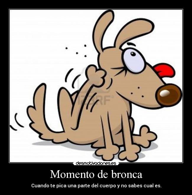 Momento de bronca - Cuando te pica una parte del cuerpo y no sabes cual es.