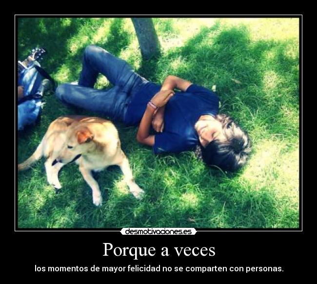 Porque a veces - los momentos de mayor felicidad no se comparten con personas.