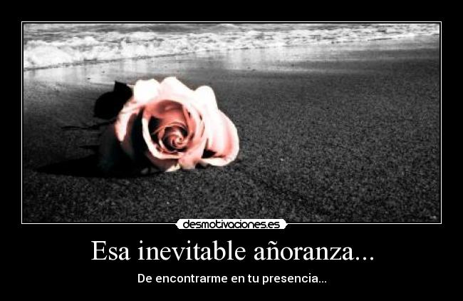 Esa inevitable añoranza... -