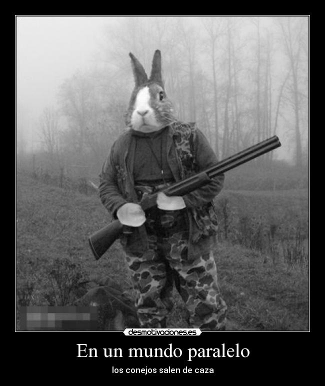 En un mundo paralelo - los conejos salen de caza