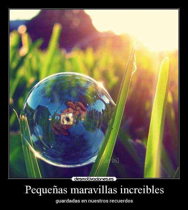 Pequeñas maravillas increibles - guardadas en nuestros recuerdos