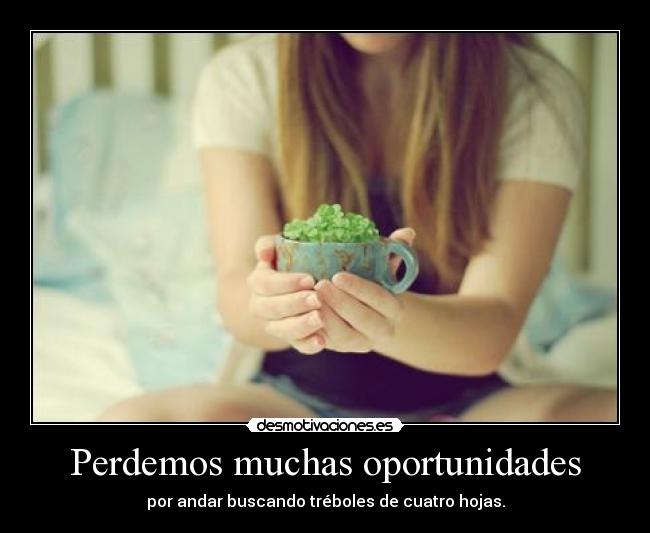 Perdemos muchas oportunidades -