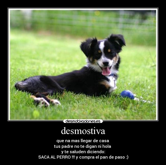 desmostiva - que na mas llegar de casa
tus padre no te digan ni hola
y te saluden diciendo:
SACA AL PERRO !!! y compra el pan de paso :)
