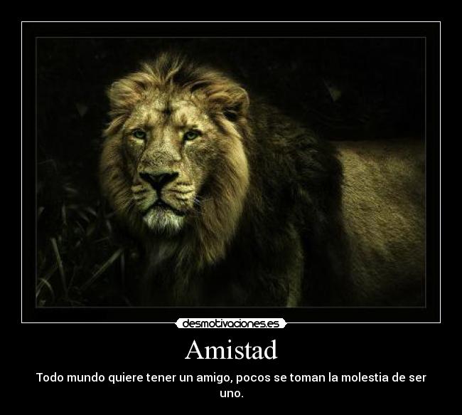 Amistad - Todo mundo quiere tener un amigo, pocos se toman la molestia de ser uno.