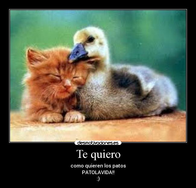 Te quiero - 