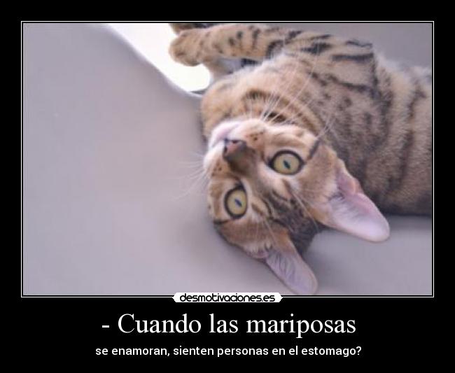 - Cuando las mariposas -