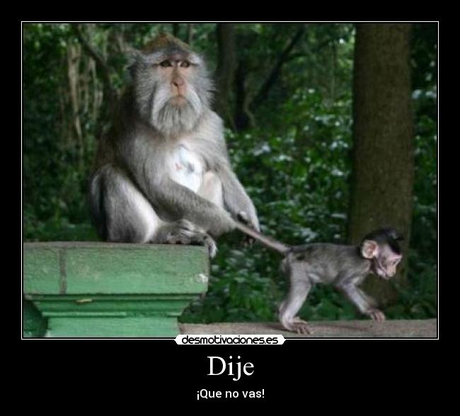 Dije - ¡Que no vas!