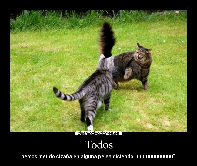 carteles desmotivaciones