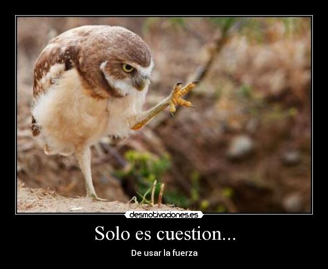Solo es cuestion... - 