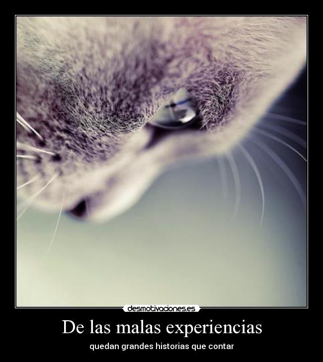 De las malas experiencias -