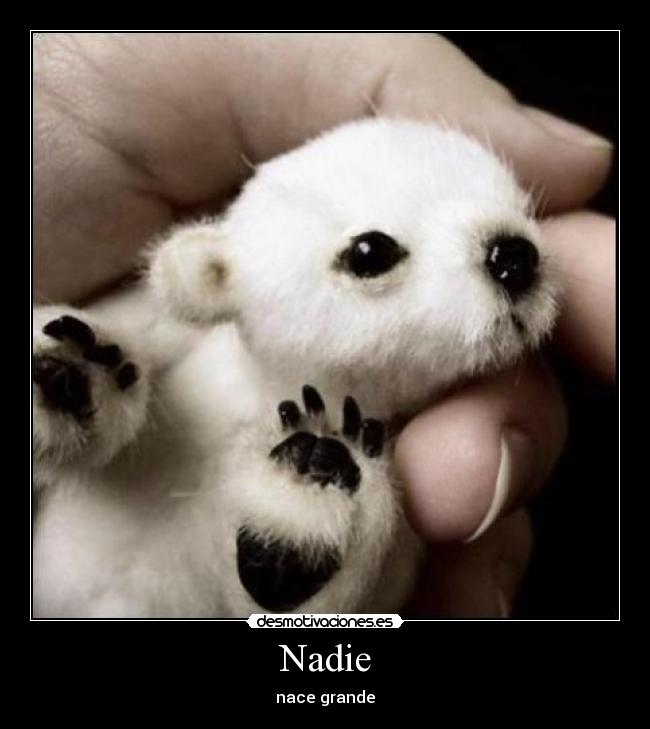 Nadie - 