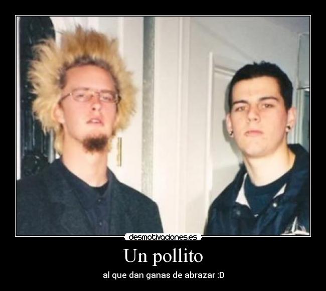 Un pollito - 