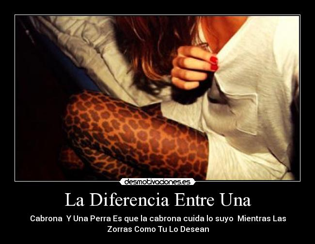 La Diferencia Entre Una -