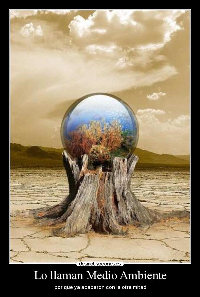 Lo llaman Medio Ambiente - por que ya acabaron con la otra mitad
