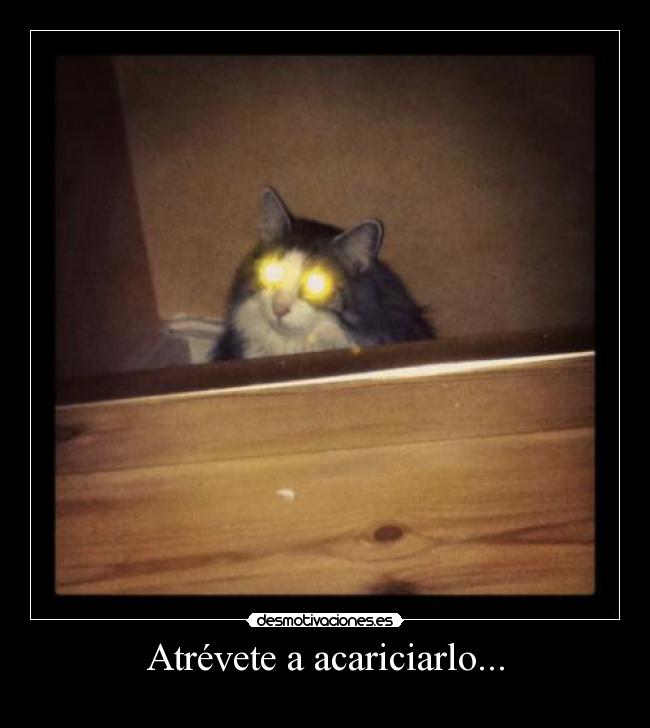 carteles jessy93 desmotivaciones