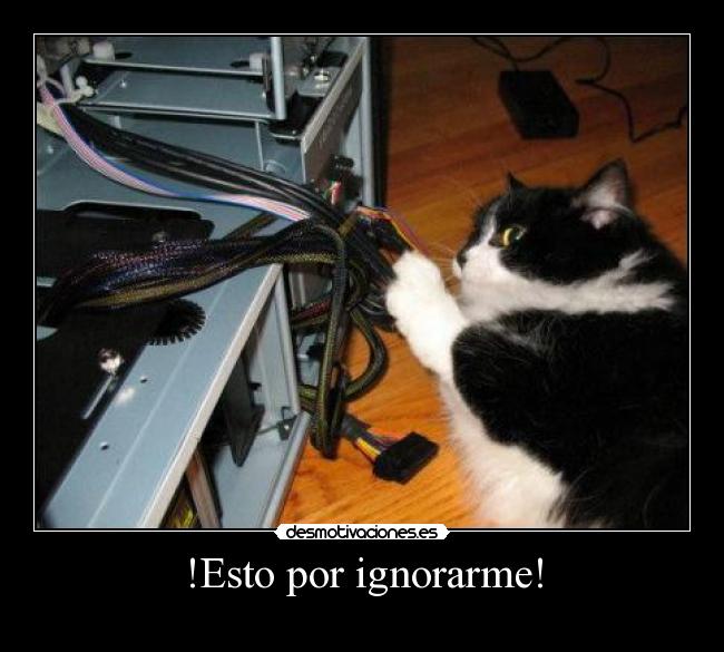 !Esto por ignorarme! - 