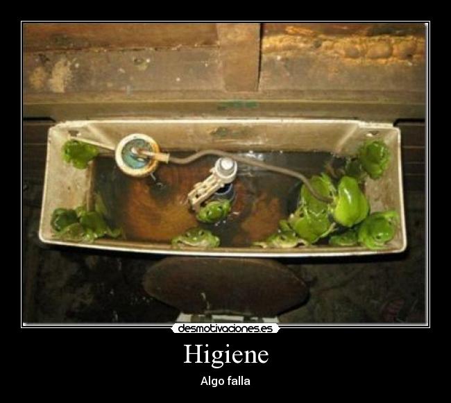 Higiene - Algo falla