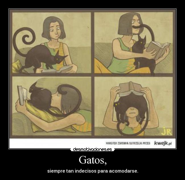 Gatos, -