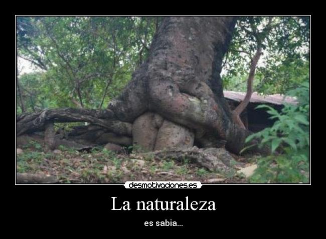 La naturaleza -