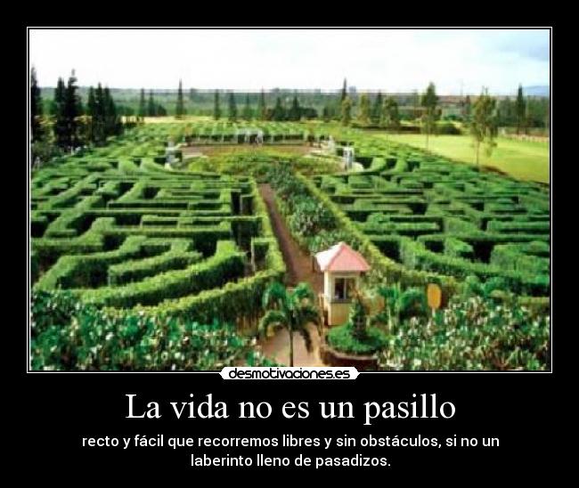 La vida no es un pasillo - recto y fácil que recorremos libres y sin obstáculos, si no un
laberinto lleno de pasadizos.
