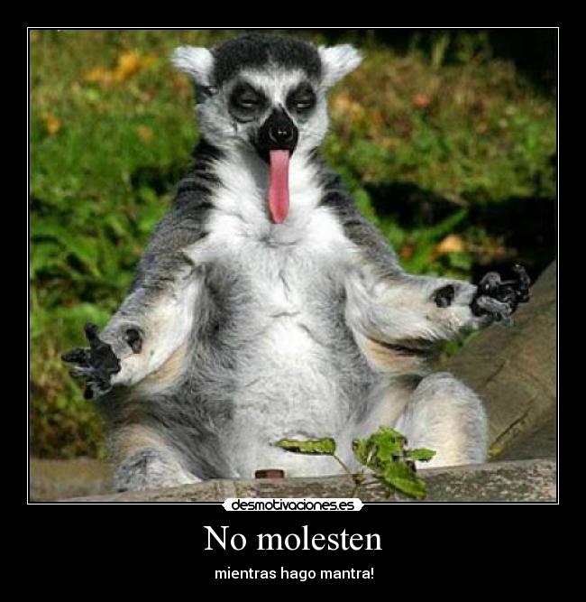 No molesten -