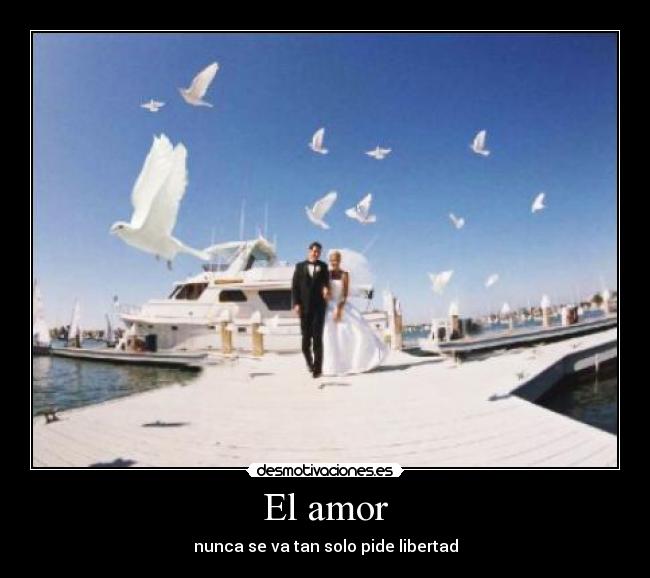 El amor -