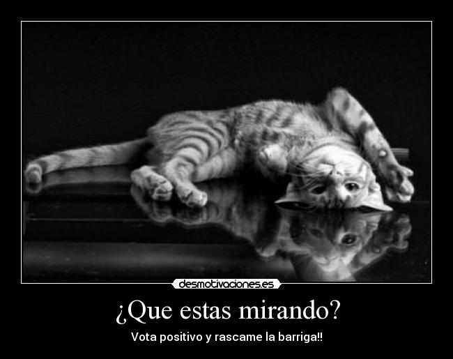 ¿Que estas mirando? - 