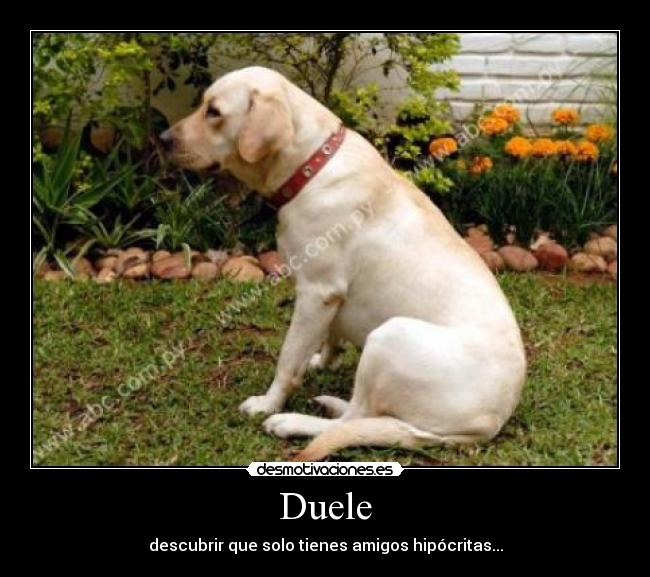 Duele - descubrir que solo tienes amigos hipócritas...