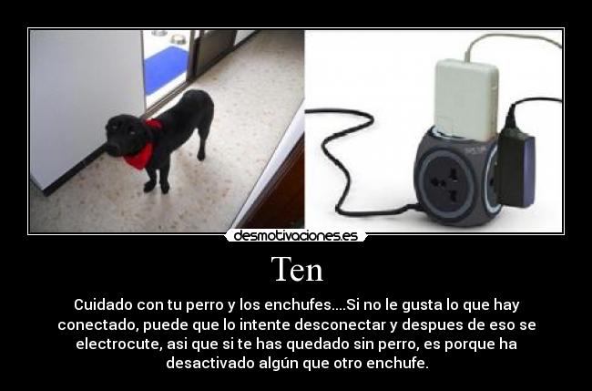 Ten - Cuidado con tu perro y los enchufes....Si no le gusta lo que hay
conectado, puede que lo intente desconectar y despues de eso se
electrocute, asi que si te has quedado sin perro, es porque ha
desactivado algún que otro enchufe.