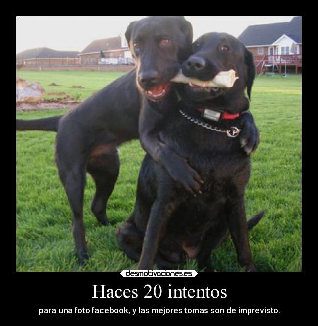 Haces 20 intentos - para una foto facebook, y las mejores tomas son de imprevisto.