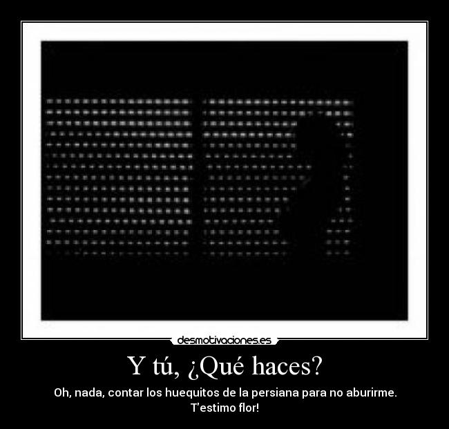 Y tú, ¿Qué haces? - Oh, nada, contar los huequitos de la persiana para no aburirme.
Testimo flor!