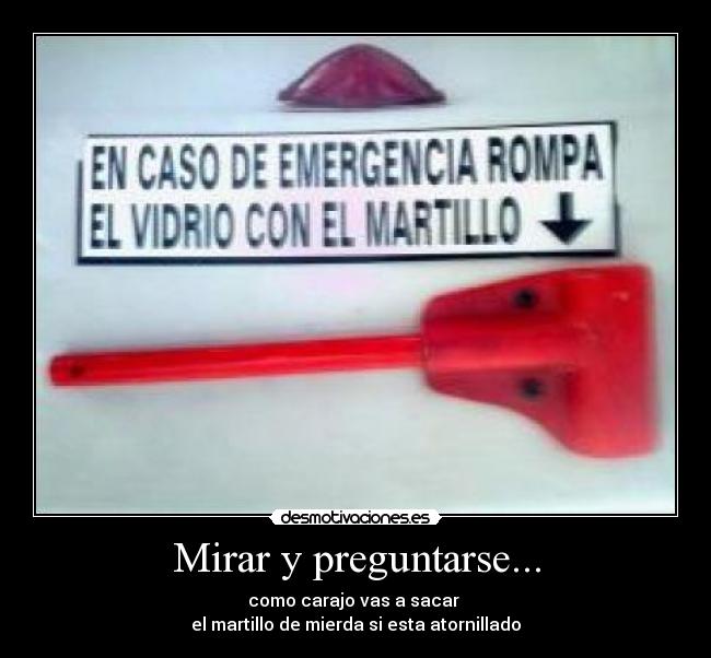 Mirar y preguntarse... - 