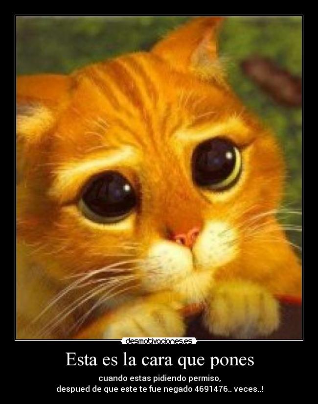 Esta es la cara que pones - cuando estas pidiendo permiso,
despued de que este te fue negado 4691476.. veces..!