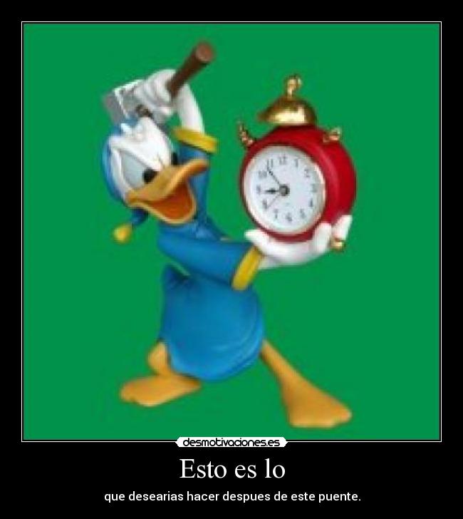 Esto es lo - que desearias hacer despues de este puente.