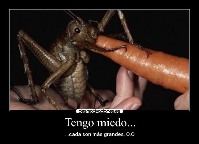 Tengo miedo... - ...cada son más grandes. O.O