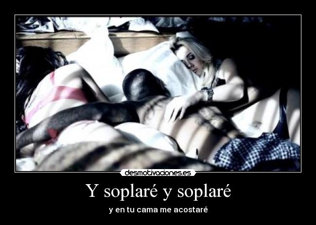 carteles laurita desmotivada everywhere pati serdaca nigga love serso grr amo desmotivaciones