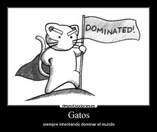 Gatos - siempre intentando dominar el mundo