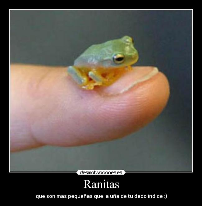 Ranitas - que son mas pequeñas que la uña de tu dedo indice :)
