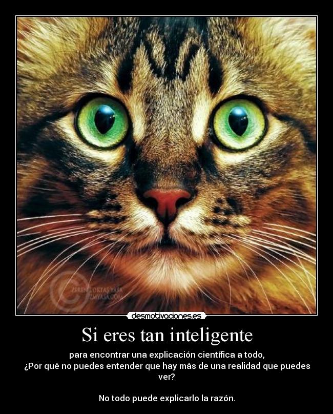 Si eres tan inteligente - para encontrar una explicación científica a todo,
¿Por qué no puedes entender que hay más de una realidad que puedes ver?

No todo puede explicarlo la razón.