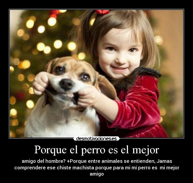 Porque el perro es el mejor -